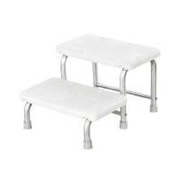 Steps Stainless Steel Frame Double Tread