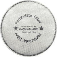 P3 Carbon Particulate Filter (white) 1 pair