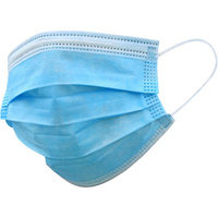 Disposable Face Mask Type 1 with Earloops Box 50