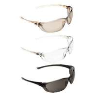 Pro Choice Safety Gear Richter Safety Glasses 12 Pack