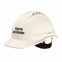 Force360 Deputy Chief Warden Hard Hat