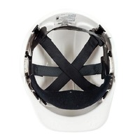 Force360 Premium Six Point Pinlock Harness